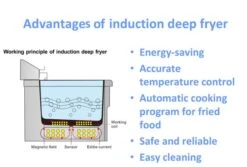Induktions-Fritteuse - 8 Liter - 3,5 KW - Ablasshahn 21 Induktions-Fritteuse - 8 Liter - 3,5 KW - Ablasshahn -Küchenwelt Geschaft neu advantage induction f0ff